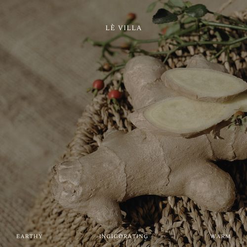 Organic | Ginger Bliss Candle